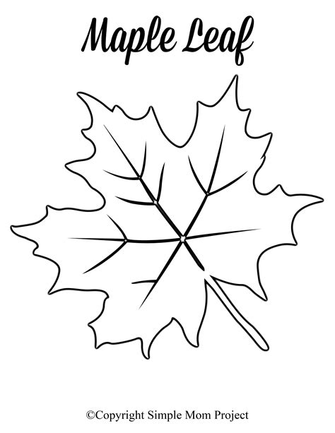 free printable maple leaf template